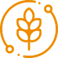 GrainX Investor Advantage